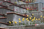 هوای بارانی تهران