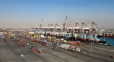 ترخیص ۳۲ هزار تن روغن وارداتی از بندرشهید رجایی بندرعباس