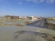 کشاورزان سیل زده زرآباد نیازمند توجه ویژه هستند