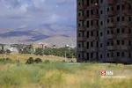 تخریب باغات