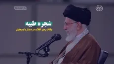 نماهنگ | شجره طیبه