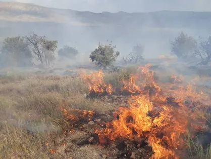 استاندار مازندران: یک هواپیمای آب&zwnj;پاش فردا به الیت اعزام خواهد شد/امکان اطفاء حریق فردا یا پس فردا + فیلم
