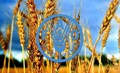 فائو: قیمت مواد غذایی در جهان به بالاترین میزان در ۱۰ سال گذشته رسیده است