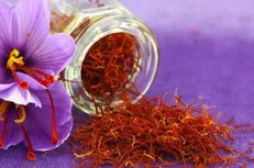 انتخابات اتحادیه صادرکنندگان زعفران در پیش است/ لزوم حضور افراد اصلح، راه درمان درد‌های 