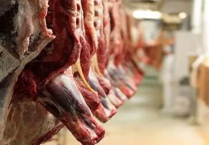 علت توقف واردات گوشت قرمز چه بود؟