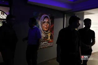 دبب