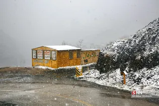 87654