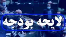 جنجال رسانه‌ای مسموم در خدمت فراریان مالیاتی دانه‌درشت