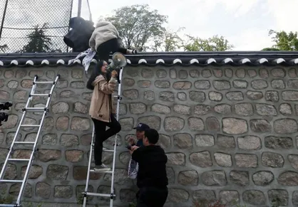 درخواست بازداشت دانشجویان کره&zwnj;ای که از اقامتگاه سفیر آمریکا بالا رفتند