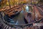 fall