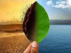 سهم تولید محصولات دانش‌بنیان درحوزه خشکسالی افزایش می‌یابد