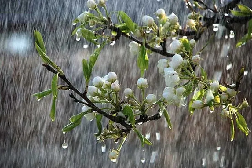صدور هشدار نارنجی هواشناسی در خراسان شمالی