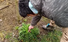 ضرورت جایگزینی کشت مواد مخدر با محصولات سودآور