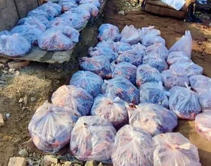 کشف کشتارگاه غیرمجاز احشام در اسلامشهر