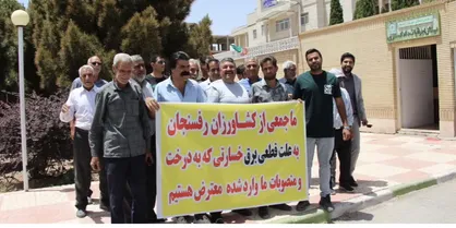 مشکلات پسته کاران رفسنجانی روی میز رییس دادگستری شهرستان