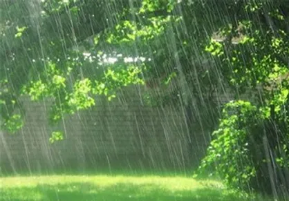 بارش باران در برخی شهرهای کشور