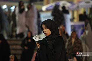 دبب