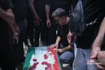 دبب