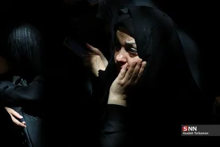 دبب