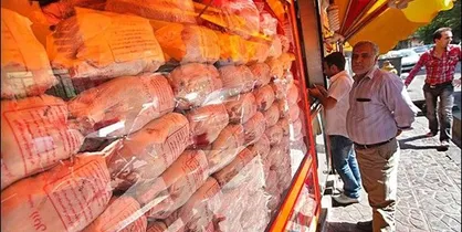 معاون استاندار تهران: گرانی مرغ حاصل بی&zwnj;تدبیری وزارت جهاد است