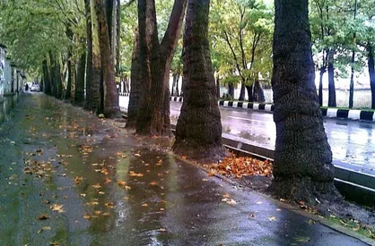 باران و صاعقه ۵ روزه در ۱۵ استان / احتمال بارش تگرگ در برخی مناطق