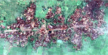 ارتش میانمار یک روستای مسلمان نشین را به آتش کشید +فیلم