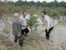 پرداخت ۲۰۰ میلیارد تومان خسارت به کشاورزان سیل‌زده