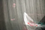 new