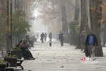 آلودگی هوای تهران
