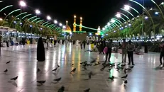 پیش بینی تمهیدات لامز برای شب‌های قدر در کربلا و نجف