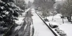 مازندران «برفی» شد/ بارش باران در ۹ استان
