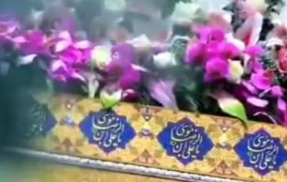 ضریح مطهر حرم امام رضا (ع) گل&zwnj;آرایی شد