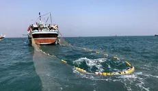 خواستار توقیف تمامی کشتی‌های صید ترال در دریای مکران هستیم + عکس