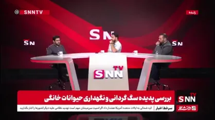 توضیحات کارشناس محیط زیست در رابطه با فاجعه در حیات وحش به علت به هم خوردن تعادل زاد و ولد سگ ها