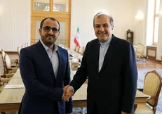 سخنگوی انصارالله با مشاور ارشد وزیر امور خارجه دیدار کرد