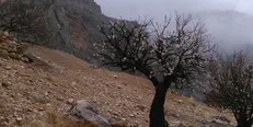 آخرین وضعیت آب و هوا