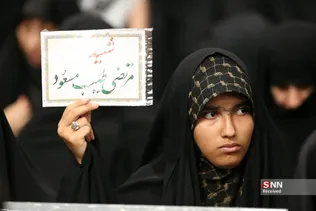 دبب