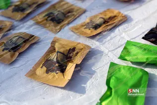 هشتمین طرح ظفر پلیس مبارزه با موادمخدر