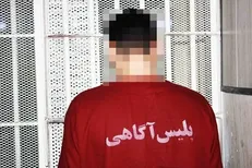 داستان عجیب کندن گوش برادرزن توسط داماد خانواده
