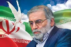 درخواست همسر شهید فخری‌زاده از هنرمندان