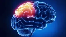 درد بر روی حافظه چه تاثیری دارد؟