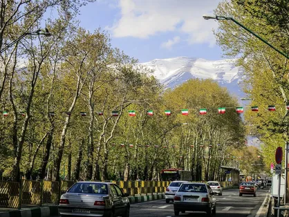 ۴۵۰ اصله نهال چنار در خیابان، ولی عصر (عج) کاشته شد
