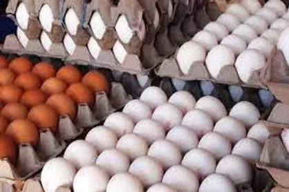 قیمت تخم مرغ پوسته سفید در میادین میوه و تره&zwnj;بار اعلام شد