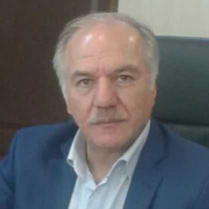 افزایش قیمت خودروهای وارداتی تقصیر رسانه&zwnj;ها و دلالان است!