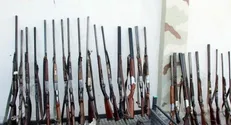 یک‌سوم مکشوفات سلاح اداره محیط زیست در گلستان قاچاق است