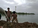 گروههای جهادی