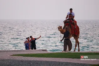 کیش