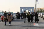 علامه