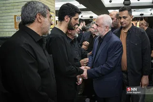 دبب