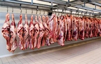 عرضه گوشت گرم وارداتی از فردا